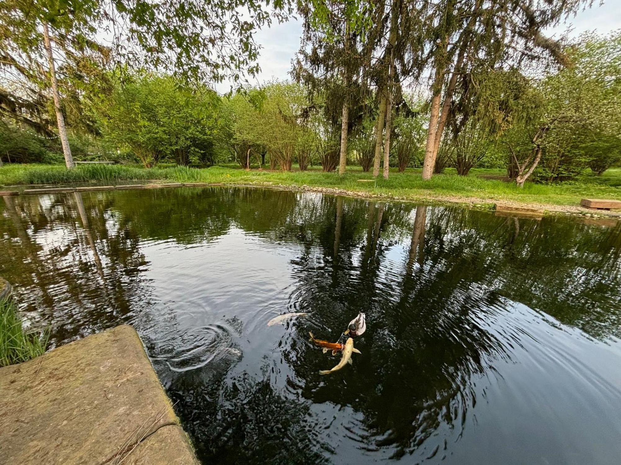 Datscha Am See Worms Exteriör bild