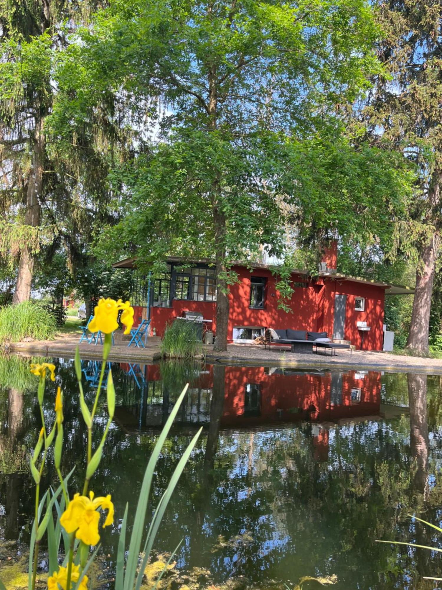 Datscha Am See Worms Exteriör bild